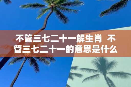不管三七二十一解生肖 不管三七二十一的意思是什么生肖