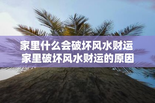 家里什么会破坏风水财运 家里破坏风水财运的原因
