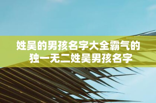 姓吴的男孩名字大全霸气的 独一无二姓吴男孩名字