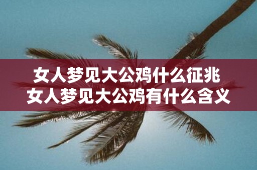 女人梦见大公鸡什么征兆 女人梦见大公鸡有什么含义