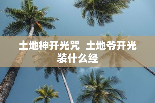 土地神开光咒 土地爷开光装什么经