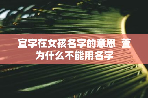 宣字在女孩名字的意思 萱为什么不能用名字