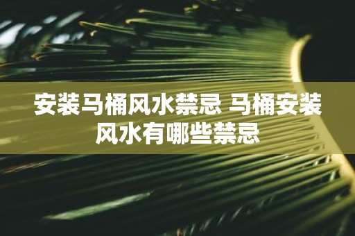 安装马桶风水禁忌 马桶安装风水有哪些禁忌