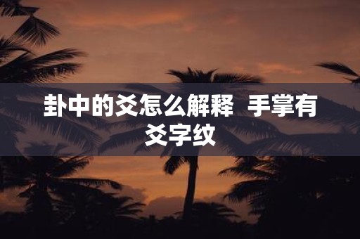 卦中的爻怎么解释 手掌有爻字纹