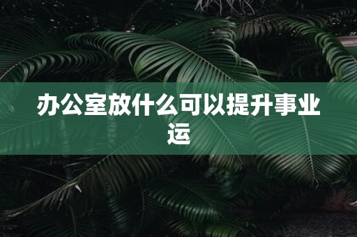 办公室放什么可以提升事业运