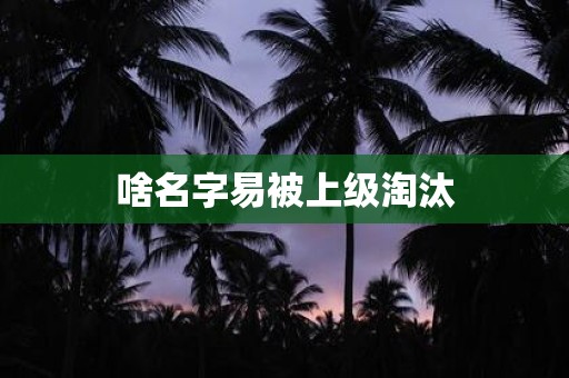 啥名字易被上级淘汰