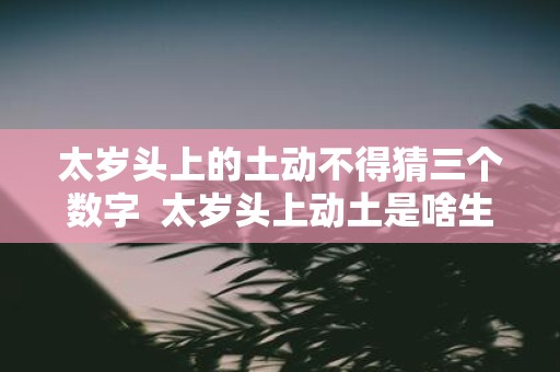 太岁头上的土动不得猜三个数字 太岁头上动土是啥生肖