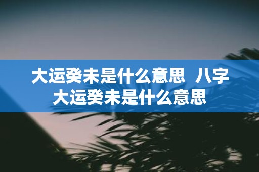 大运癸未是什么意思 八字大运癸未是什么意思