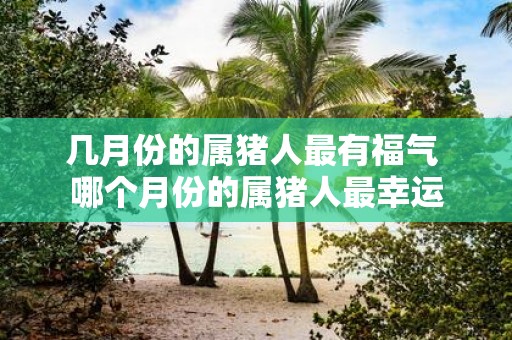 几月份的属猪人最有福气 哪个月份的属猪人最幸运