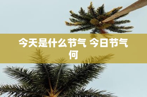 今天是什么节气 今日节气何