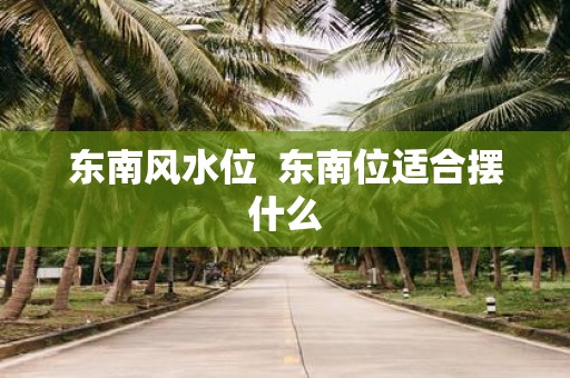 东南风水位 东南位适合摆什么