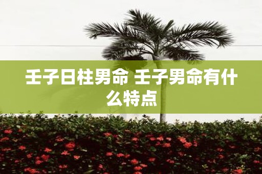 壬子日柱男命 壬子男命有什么特点