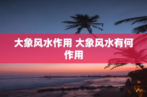 大象风水作用 大象风水有何作用