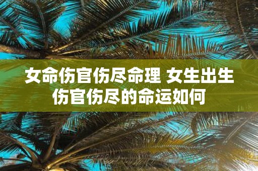 女命伤官伤尽命理 女生出生伤官伤尽的命运如何