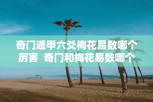 奇门遁甲六爻梅花易数哪个厉害 奇门和梅花易数哪个准
