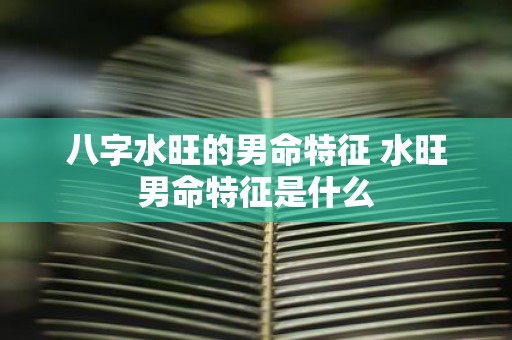 八字水旺的男命特征 水旺男命特征是什么
