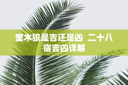 奎木狼是吉还是凶 二十八宿吉凶详解