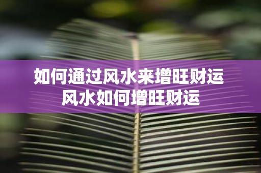 如何通过风水来增旺财运 风水如何增旺财运