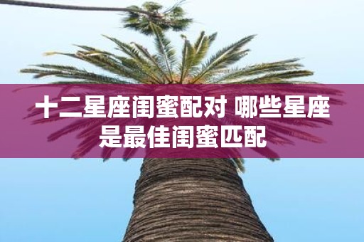 十二星座闺蜜配对 哪些星座是最佳闺蜜匹配