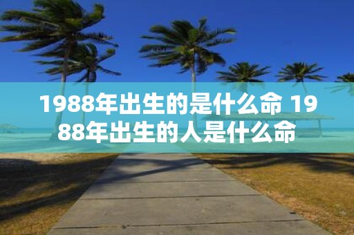 1988年出生的是什么命 1988年出生的人是什么命