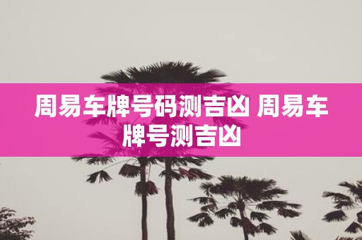 周易车牌号码测吉凶 周易车牌号测吉凶