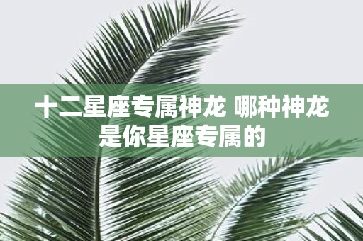 十二星座专属神龙 哪种神龙是你星座专属的