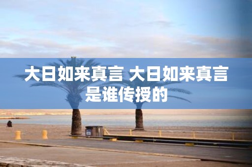 大日如来真言 大日如来真言是谁传授的