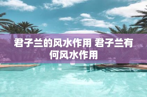 君子兰的风水作用 君子兰有何风水作用