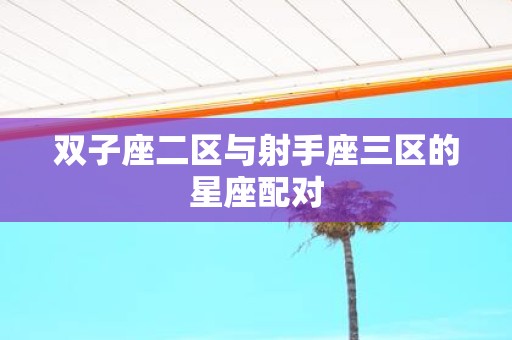 双子座二区与射手座三区的星座配对