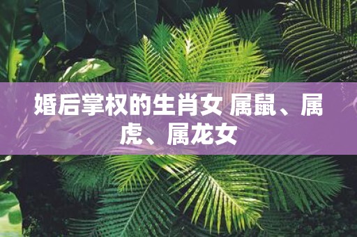 婚后掌权的生肖女 属鼠、属虎、属龙女