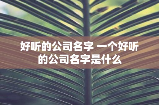 好听的公司名字 一个好听的公司名字是什么