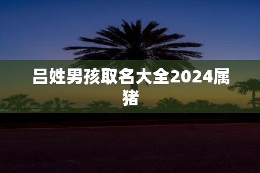 吕姓男孩取名大全2025属猪