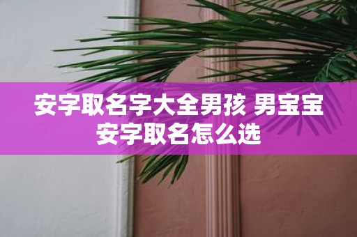 安字取名字大全男孩 男宝宝安字取名怎么选