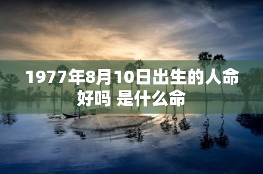 1977年8月10日出生的人命好吗 是什么命