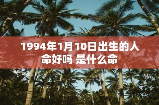 1994年1月10日出生的人命好吗 是什么命