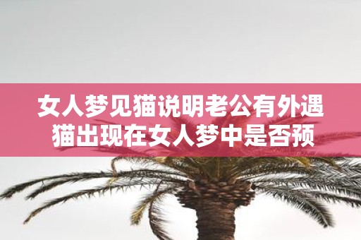 女人梦见猫说明老公有外遇 猫出现在女人梦中是否预示着老公的外遇