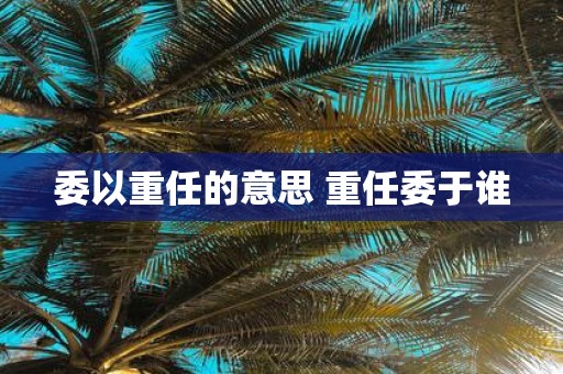 委以重任的意思 重任委于谁