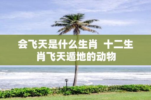 会飞天是什么生肖 十二生肖飞天遁地的动物