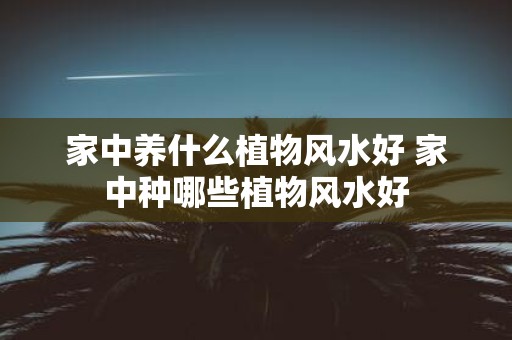 家中养什么植物风水好 家中种哪些植物风水好