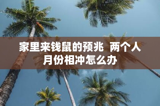 家里来钱鼠的预兆 两个人月份相冲怎么办