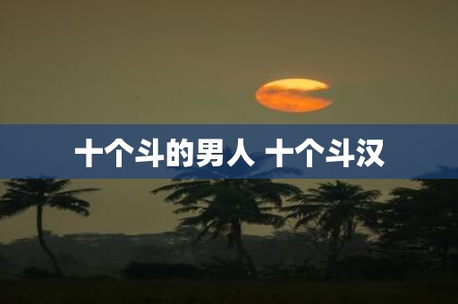 十个斗的男人 十个斗汉