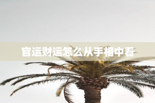 官运财运怎么从手相中看
