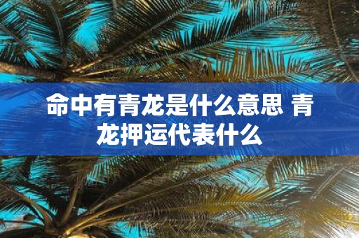 命中有青龙是什么意思 青龙押运代表什么