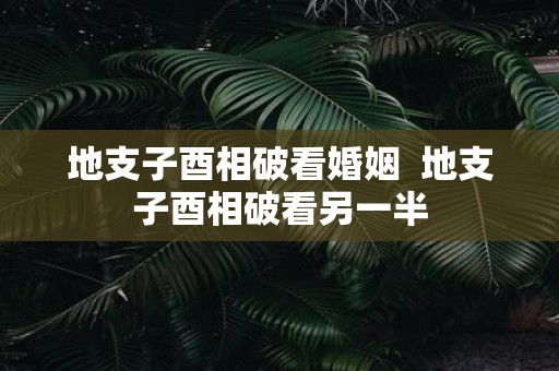 地支子酉相破看婚姻 地支子酉相破看另一半