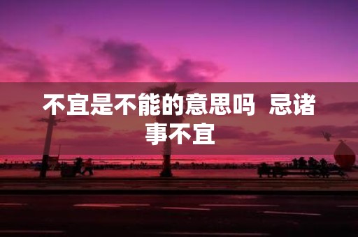 不宜是不能的意思吗 忌诸事不宜