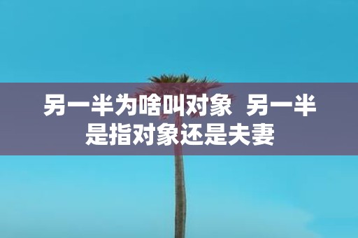 另一半为啥叫对象 另一半是指对象还是夫妻