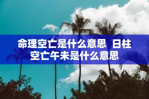 命理空亡是什么意思 日柱空亡午未是什么意思