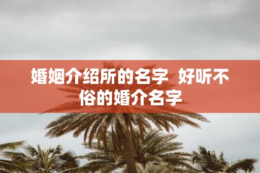 婚姻介绍所的名字 好听不俗的婚介名字