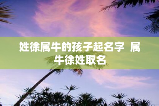 姓徐属牛的孩子起名字 属牛徐姓取名