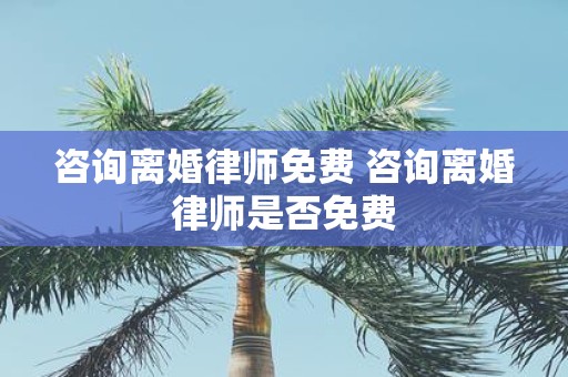 咨询离婚律师免费 咨询离婚律师是否免费